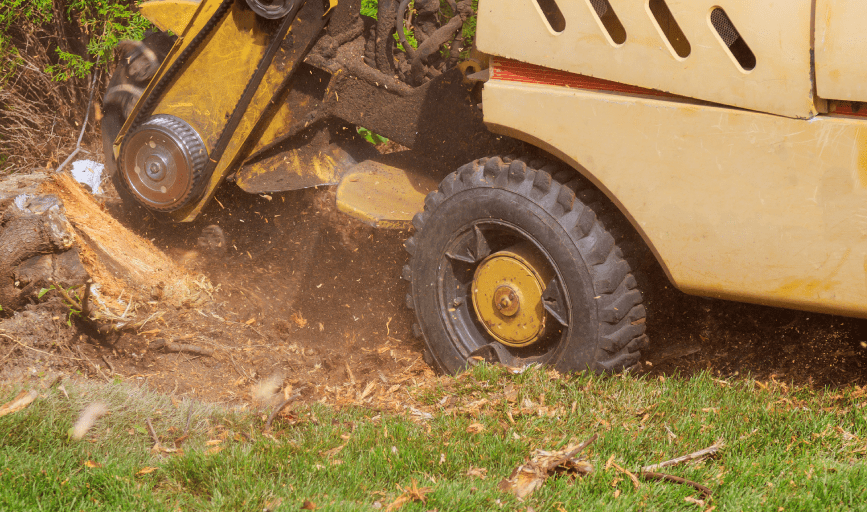 <p style="font-family: 'Poppins', sans-serif; font-weight: 700; font-size:24px;">STUMP GRINDING SERVICES</p>